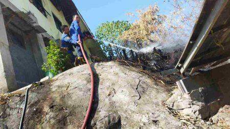 SDN 18 Gresik Nyaris Dilalap Api Akibat Hutan Bambu Terbakar foto beritajatim