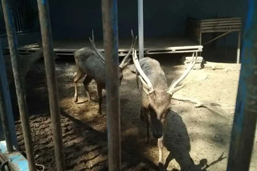 foto beritajatim
