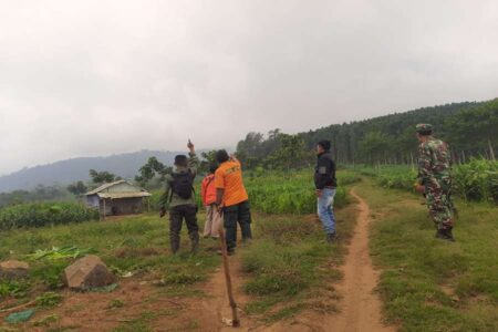 Kebakaran Hutan Gunung Argopuro Berhasil Dipadamkan Setelah Empat Hari foto beritajatim