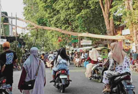 Angin Kencang, Pohon Kesono di Mojokerto Tumbang Timpa Ruko