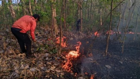 Petugas BPBD Kabupaten Mojokerto melakukan upaya pemadaman. [Foto : ist]