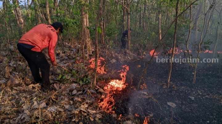 Petugas BPBD Kabupaten Mojokerto melakukan upaya pemadaman. [Foto : ist]