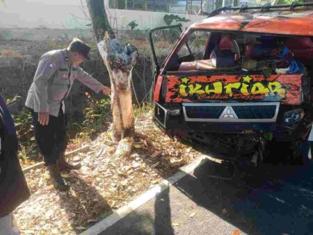 Mobil Pikap Tabrak Pohon di Pacet Mojokerto, 4 Orang Jadi Korban foto beritajatim