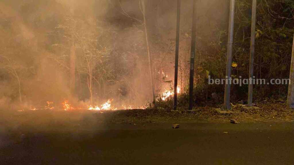 Api membakar pohon jati dan rumput ilalang di Petak 75D KPH Mojokerto, BKPH Kemlagi, RPH Kupang, Desa Kupang, Kecamatan Jetis, Kabupaten Mojokerto. [Foto ; ist]