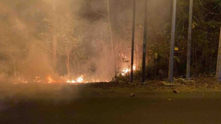 Api membakar pohon jati dan rumput ilalang di Petak 75D KPH Mojokerto, BKPH Kemlagi, RPH Kupang, Desa Kupang, Kecamatan Jetis, Kabupaten Mojokerto. [Foto ; ist]