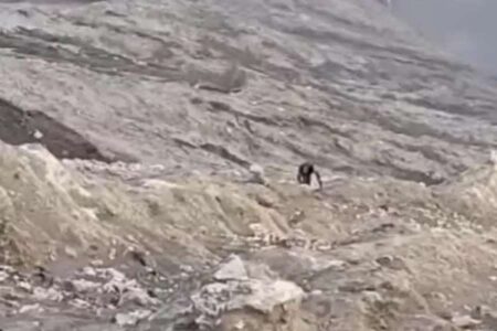 Aksi Nekat di Gunung Bromo Tuai Kecaman, TNBTS Beri Peringatan Aksi Nekat di Gunung Bromo Tuai Kecaman, TNBTS Beri Peringatan
