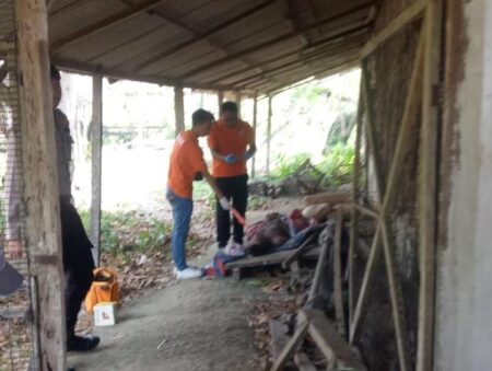Panik Kandang Ayam Terbakar, Warga Bangkalan Meninggal Tertimpa Bambu