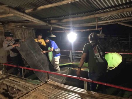 Polisi Gresik Grebek Lokasi Judi Diduga Sabung Ayam Foto petugas menggerebek tempat perjudian sabung ayam