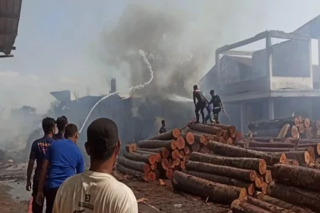 Kebakaran Besar di Pabrik Triplek Ponorogo, Angin Kencang Hambat Pemadaman Petugas berusaha memadamkan api yang membakar gudang di pabrik triplek di Ponorogo. (Foto/Endra Dwiono/Beritajatim.com)