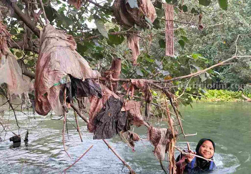 Foto Aeshnina Azzarah Aqilani seorang pelajar SMA saat menyusuri sungai menemukan banyak tumpukan sampah yang menyangkut di ranting pohon.