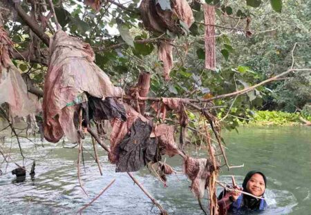 Foto Aeshnina Azzarah Aqilani seorang pelajar SMA saat menyusuri sungai menemukan banyak tumpukan sampah yang menyangkut di ranting pohon.