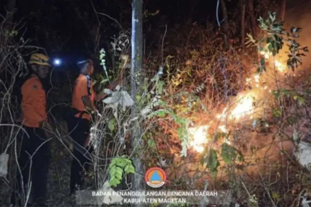 Petugas BPBD Magetan saat melakukan penanganan hutan rakyat Gunung Bancak di Desa Giripurno, Kawedanan, Magetan yang terbakar pada 21 September 2024.