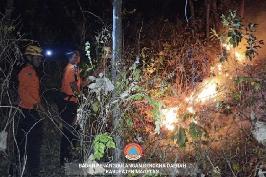 Petugas BPBD Magetan saat melakukan penanganan hutan rakyat Gunung Bancak di Desa Giripurno, Kawedanan, Magetan yang terbakar pada 21 September 2024.