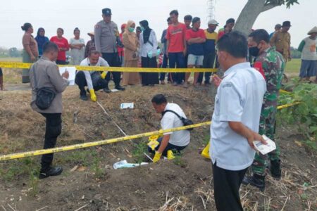 Jasad Bayi Ditemukan di Persawahan Desa Sukowati Kapas Bojonegoro