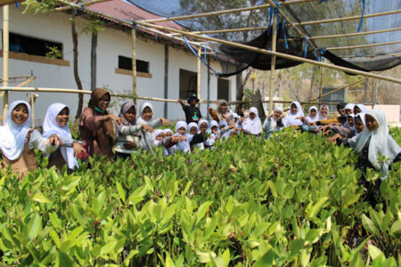 Siswi MI 3 Annuqayah melihat budidaya mangrove.