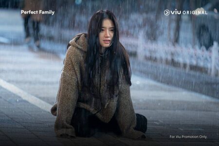 Sinopsis ‘Perfect Family’, Penggemar Thriller Misteri Yuk Merapat! Instagram @viuindonesia