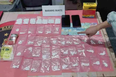 Edarkan Pil Koplo, Pemuda Menganti Gresik “Tidur” di Penjara foto berita jatim
