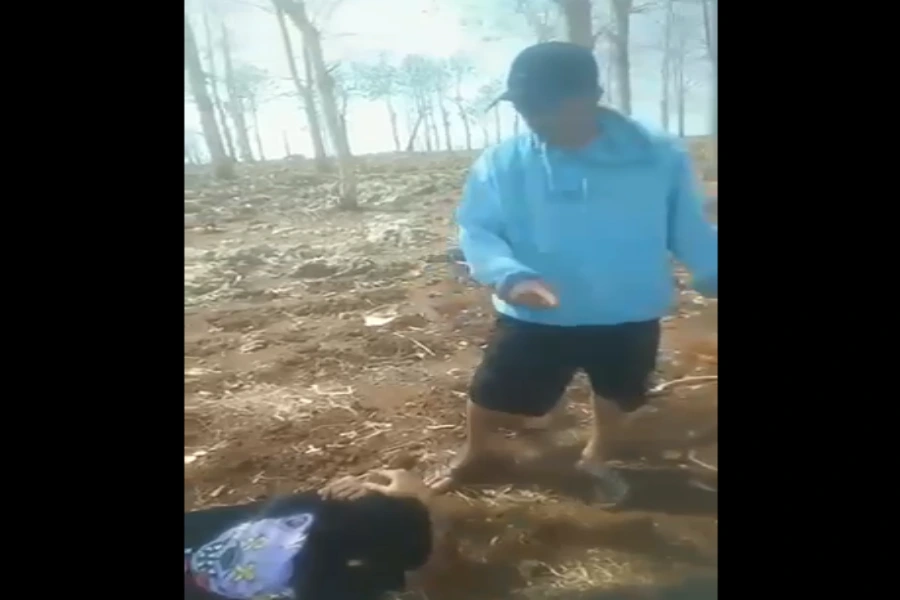 Video Viral Tuban