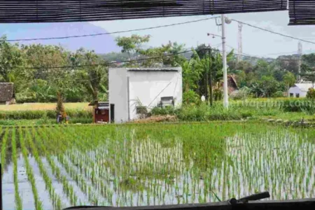 Cuaca Madiun, Ngawi, Magetan, Pacitan, dan Ponorogo 1 September 2024: Cerah foto berita jatim