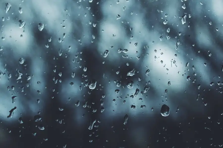 Ilustrasi hujan (foto: Noah Silliman/unsplash)