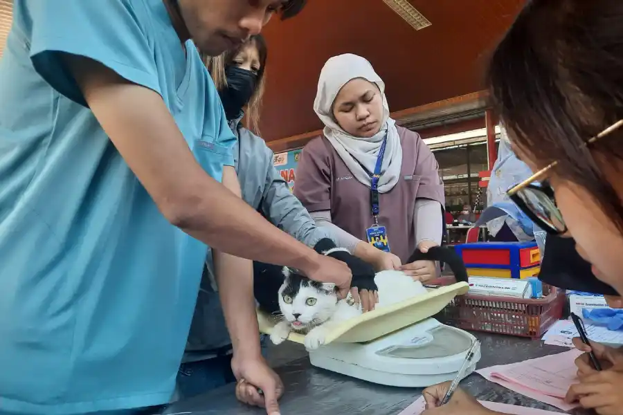 foto berita jatim