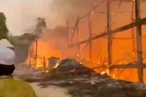 Tiga Bulan Kekeringan, Jumlah Kasus Kebakaran di Sampang Capai Ratusan Salah satu kebakaran kandang ternak yang terjadi di Sampang.