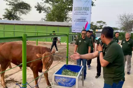 PT PLN Nusantara Power UP Tanjung Awar-Awar Tuban saat mengenalkan program Sipandu Desi.