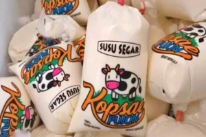 Koperasi Sae Pujon Malang Siap Dukung Program Makan Siang Gratis Prabowo-Gibran Sae Pujon