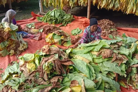foto berita jatim