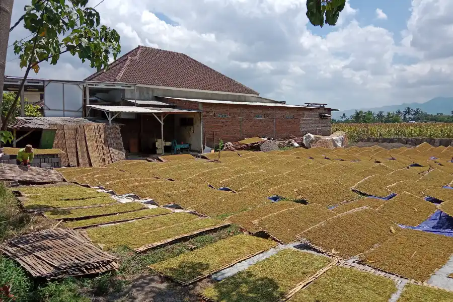 foto berita jatim