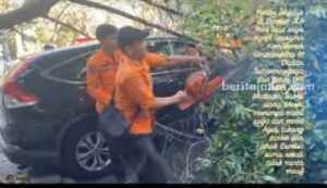 Mobil Anggota DPRD Surabaya Tertimpa Pohon di Excelso, Manajemen Acuh Tangkapan layar video mobil anggota DPRD Surabaya, Imam Syafi'i yang tertimpa pohon di Excelso Ahmad Yani.