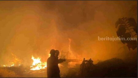 Ilalang Terbakar Nyaris Hanguskan Mess Karyawan Pabrik Plastik di Gresik
