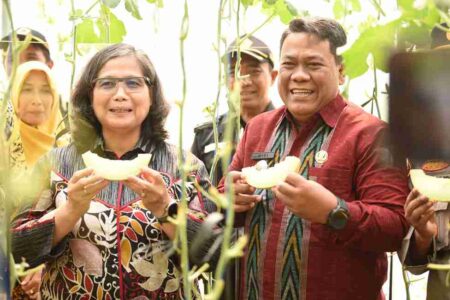 Pj Wali Kota Kediri Petik Melon di P4S Langgeng Mazaya Kelurahan Pakunden Pj Wali Kota Kediri Zanariah