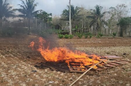 Penggrebekan Sabung Ayam di Blitar Diduga Bocor, Polisi Hanya Temukan Ini foto beritajatim