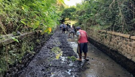Cara Baru Banyuwangi Tekan Angka Kemiskinan Potret kemiskinan di Banyuwangi