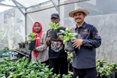 Maidi Fokus pada Ketahanan Pangan Lewat Program P2L Kota Madiun