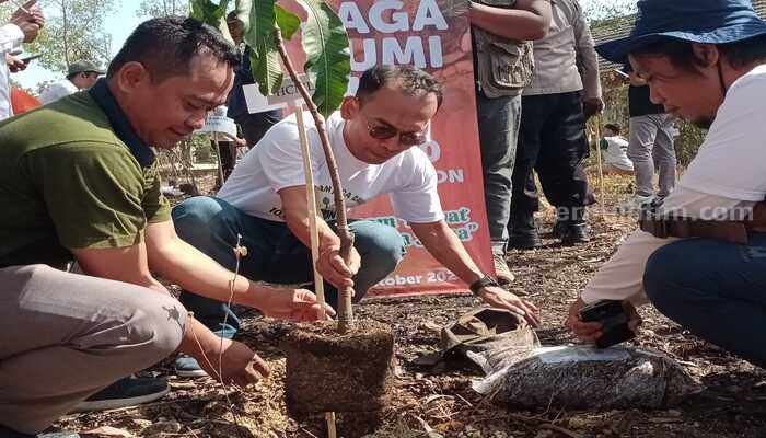 Penanaman 10 ribu pohon di Poltera Sampang