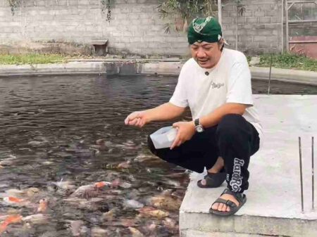 Persiapan Cabup Kediri Deny Widyanarko di Debat Perdana: Mengalir Saja, Apa Adanya Cabup Kediri Deny Widyanarko tengah memberi makan ikan di rumahnya