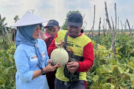 Nurul Azizah Siapkan Kartu Petani Maju Perluas Pertanian Organik