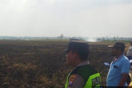 Lokasi sawah yang kebakaran di Desa Deru, Kecamatan Sumberrejo, Kabupaten Bojonegoro.