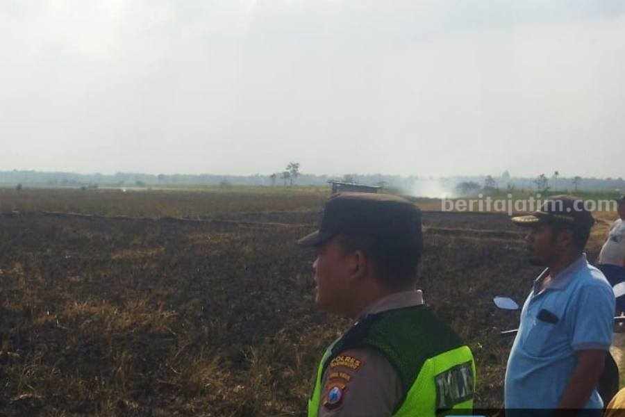 Lokasi sawah yang kebakaran di Desa Deru, Kecamatan Sumberrejo, Kabupaten Bojonegoro.