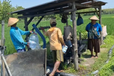 Cerita Warga Kayutrejo Ngawi Krisis Air Bersih, Terpaksa Pakai Sumur Sawah