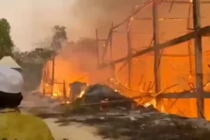 Kebakaran di Sampang Meningkat, 227 Insiden hingga Oktober 2024 foto beritajatim