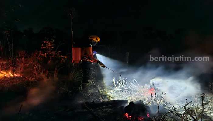 Petugas BPBD Bondowoso memadamkan api yang melahap hutan di Desa Taman, Kecamatan Grujugan, Minggu (27/10/2024) malam. (BPBD Bondowoso)