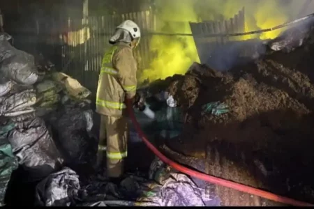 Pabrik Pembuatan Arang Rumahan di Mojokerto Terbakar foto beritajatim