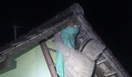 Tawon Vespa Teror Warga di Jombang, Satu Korban Dilarikan ke Rumah Sakit foto beritajatim