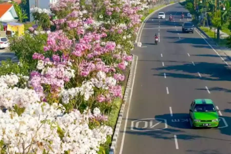 Warganet Sebut Jalanan Surabaya Rasa Jepang tapi Hawa Rasa Afrika Potret jalanan Surabaya. (Instagram/surabaya)