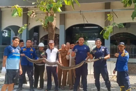 foto berita jatim