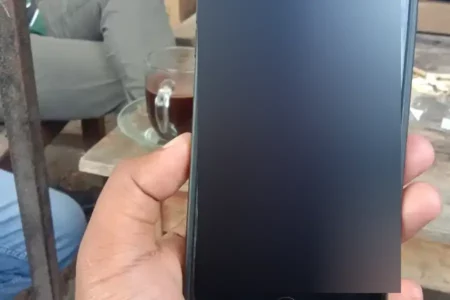 Viral, Video Tak Senonoh TKI Blitar dengan Kekasih foto beritajatim