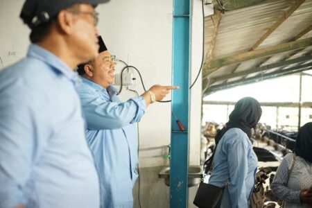 Kunjungi Peternakan Sapi Wonosalam, Cabup Jombang Warsubi Diminta Dukung Pengelolaan Biogas foto beritajatim
